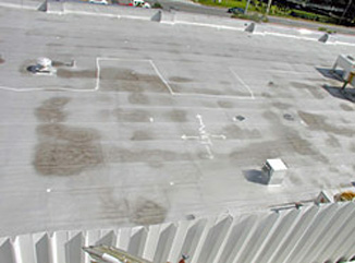 Photo 14 of grid pattern on roof