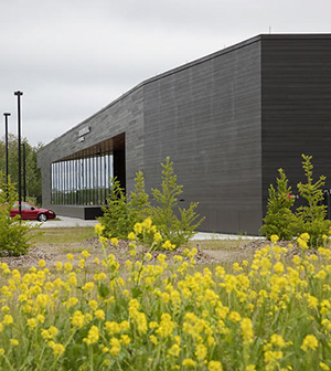 Warroad Land Port of Entry native plantings