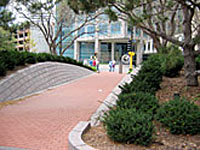 A wide sloping walkway with raised planted berms on each side and a single bollard at the end to prevent cars from driving on it